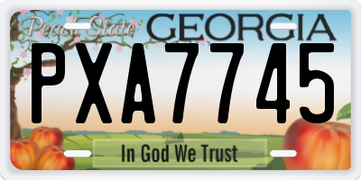 GA license plate PXA7745