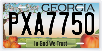 GA license plate PXA7750