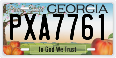 GA license plate PXA7761