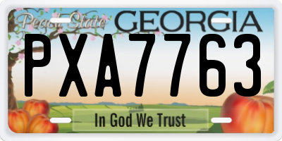 GA license plate PXA7763