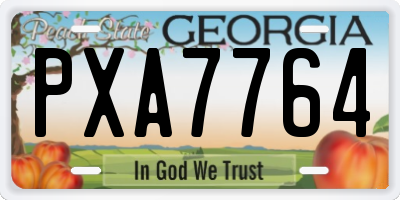 GA license plate PXA7764