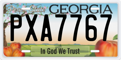 GA license plate PXA7767