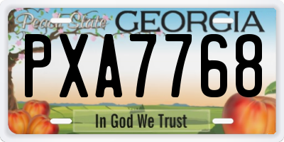 GA license plate PXA7768