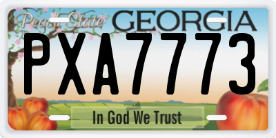 GA license plate PXA7773