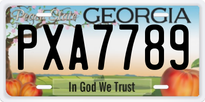 GA license plate PXA7789