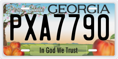 GA license plate PXA7790