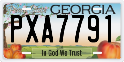 GA license plate PXA7791
