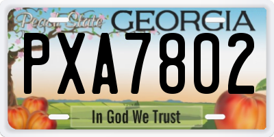GA license plate PXA7802