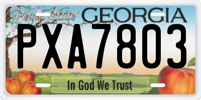 GA license plate PXA7803