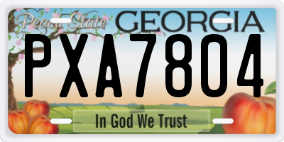 GA license plate PXA7804
