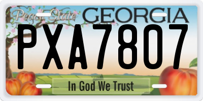 GA license plate PXA7807