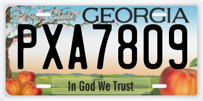 GA license plate PXA7809