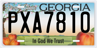 GA license plate PXA7810