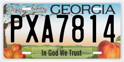 GA license plate PXA7814