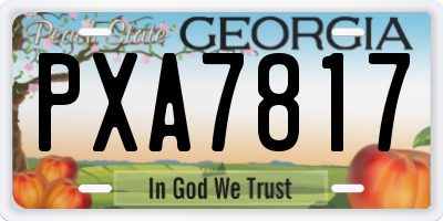GA license plate PXA7817