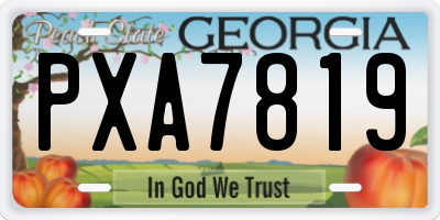GA license plate PXA7819