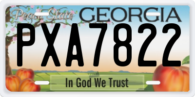 GA license plate PXA7822