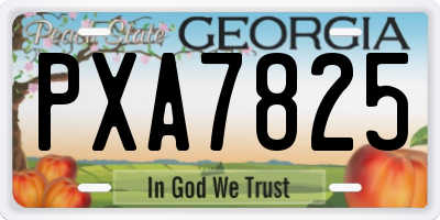 GA license plate PXA7825