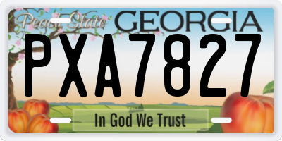 GA license plate PXA7827