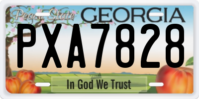 GA license plate PXA7828