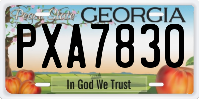 GA license plate PXA7830