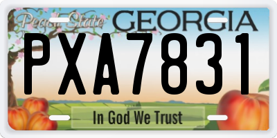 GA license plate PXA7831