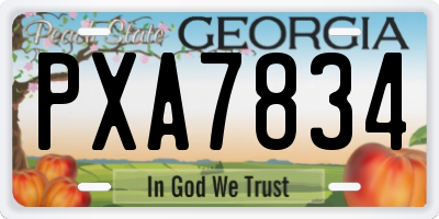 GA license plate PXA7834