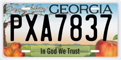 GA license plate PXA7837
