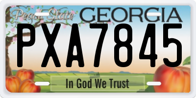 GA license plate PXA7845