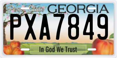 GA license plate PXA7849