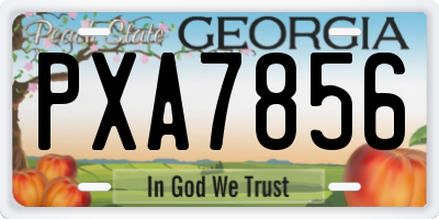 GA license plate PXA7856