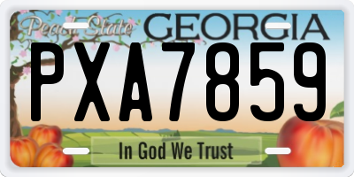 GA license plate PXA7859