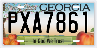 GA license plate PXA7861