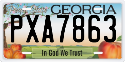 GA license plate PXA7863