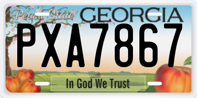 GA license plate PXA7867