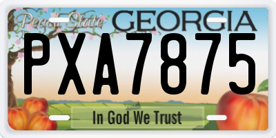GA license plate PXA7875
