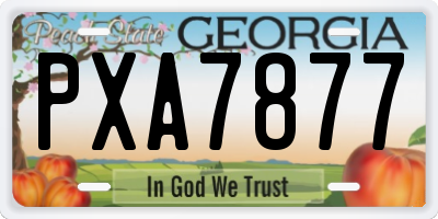 GA license plate PXA7877
