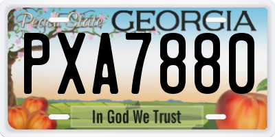GA license plate PXA7880