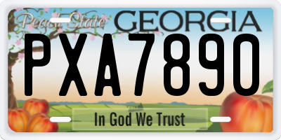 GA license plate PXA7890