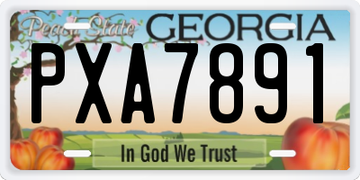 GA license plate PXA7891
