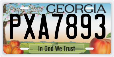GA license plate PXA7893