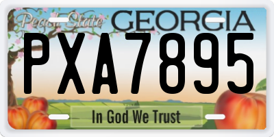 GA license plate PXA7895