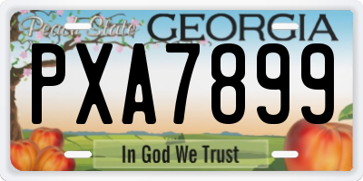 GA license plate PXA7899