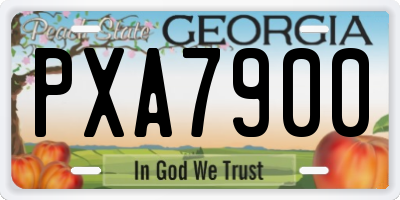 GA license plate PXA7900