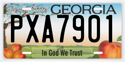 GA license plate PXA7901