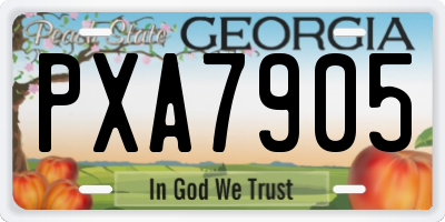GA license plate PXA7905