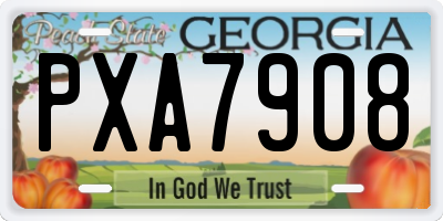 GA license plate PXA7908