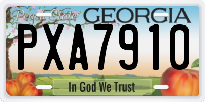 GA license plate PXA7910