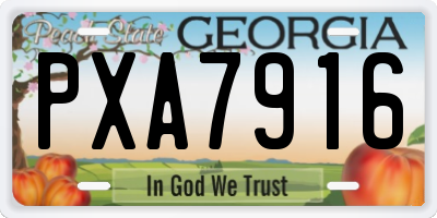 GA license plate PXA7916