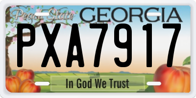 GA license plate PXA7917